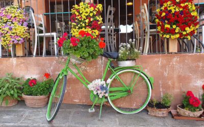 Fiets op je vakantie volgens de daar geldende regels